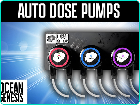 Dosing pump to be used in future